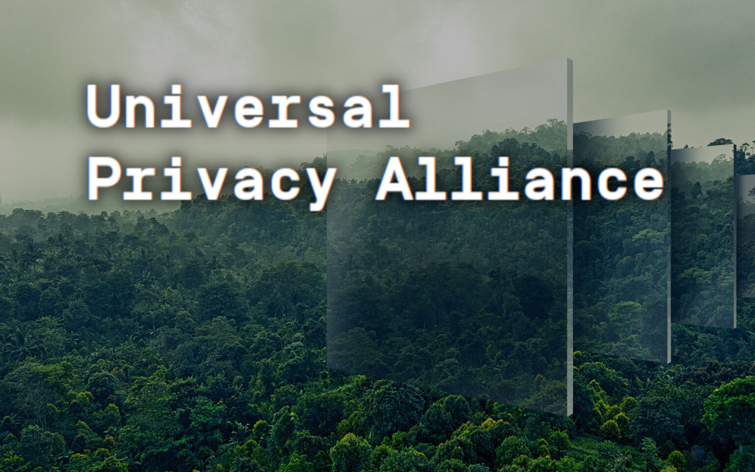 ¿Qué es la Universal Privacy Alliance (UPA) y qué objetivo tiene en el ecosistema? Entrevista a Kenny Li, miembro de la Universal Privacy Alliance