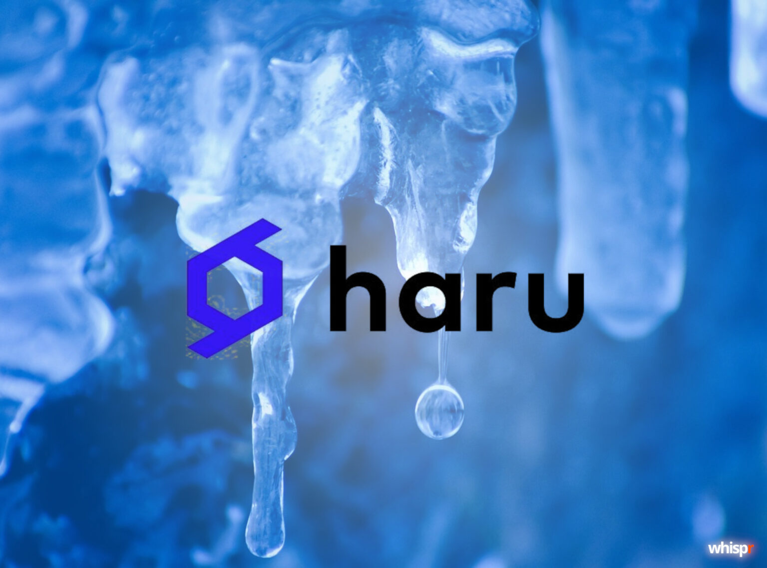 Crypto Earn Haru Invest congela los retiros en su plataforma Haru Invest congela los retiros en su plataforma