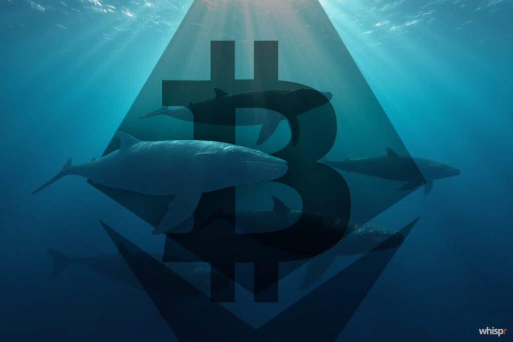 Ballenas abandonan Bitcoin por Ethereum · WHISPR