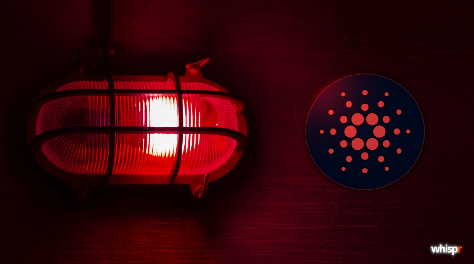 Cardano supera una división temporal de su cadena · WHISPR